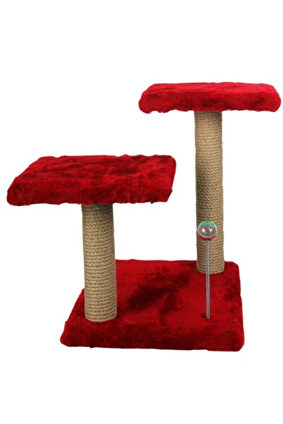 Hoppala Kedi Tırmalaması