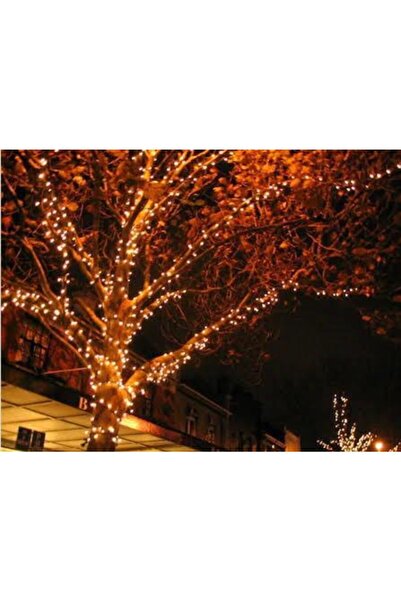 Taled 10 Mt Dış Mekan Ip Led Yılbaşı Işık 100led 8 Mod Animasyonlu Ip44