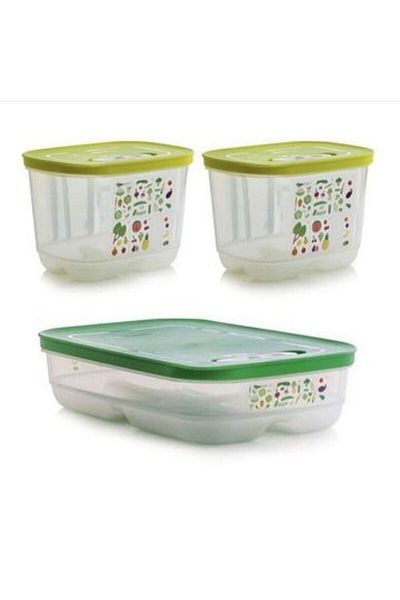 Tupperware Greenhouse Set - 3-Piece Storage Container