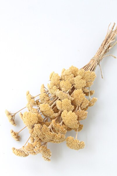 Yapay Çiçek Deposu Kuru Çiçek Şemsiye Otu Demeti Naturel(özel Kesim)