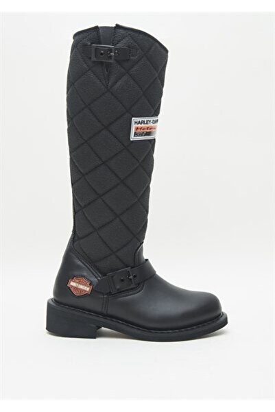 Harley Davidson Laconıa Hı 646_a