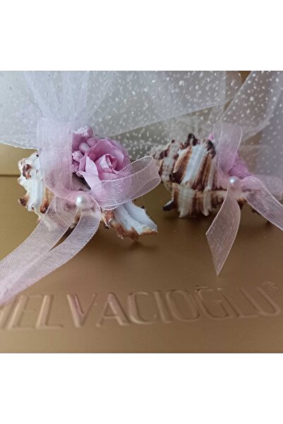 Helvacıoğlu Çikolata Doğal Magnetli Murex Indivia Deniz Kabuğu Nikah, Nişan, ...