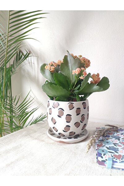 Nova Elite El Yapımı Dekoratif Altlıklı Toprak Çömlek Pottery Saksı Çiçeklik