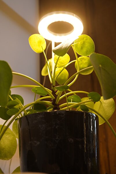 ORİONLED Bitki Led Lamba Dc5v Usb Bitki Geliştirme Tam Spektrumlu Bitki Yetiştirme Melek Halka Günışığı