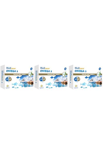 Wellcare أوميجا 3 زيت السمك 1200 ملجم 30 كبسولة 3 علب