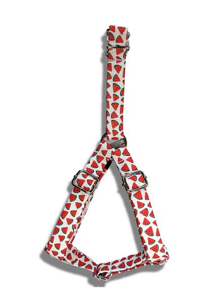 UTDpet Watermelon Dog Harness