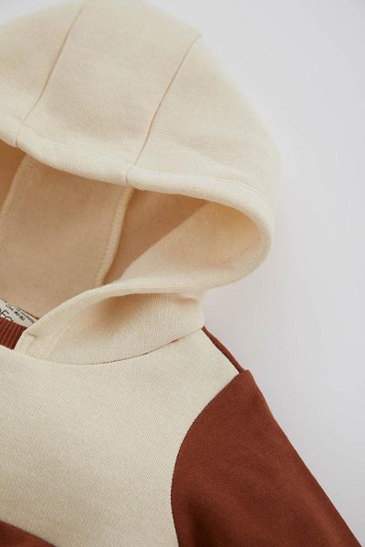 DeFacto Baby Boy Color Block Hooded Sweatshirt with Soft Fuzz Inside