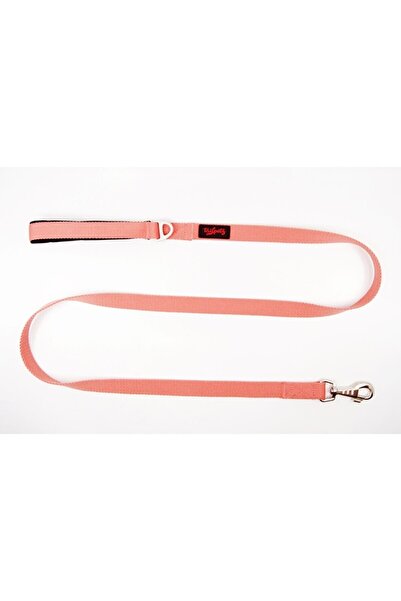 Tailpetz حزام الإرسال - طوق المشي للكلاب