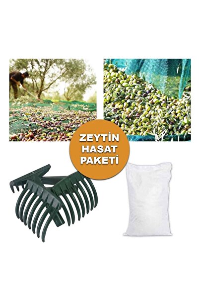 SeraTrend Zeytin Hasat Paketi 4x6 Zeytin Sergisi, 10 Adet Zeytin Tırmığı, 50x...
