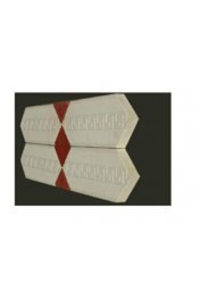 Sun Pigments Plastik Parke Taşı Kalıbı Motifli Karo Çerçeve Araparça(10ad)