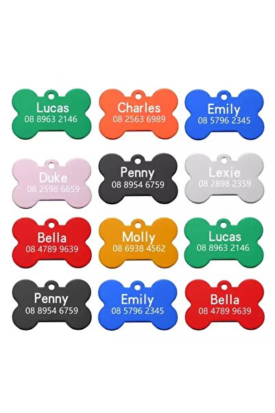 PATİMİO Isme Özel Çelik Kedi Köpek Isimlik Künyesi Kırmızı Renk