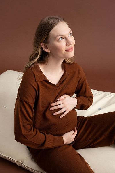 DeFacto Regular Fit Polo Neck Maternity Knitwear Top