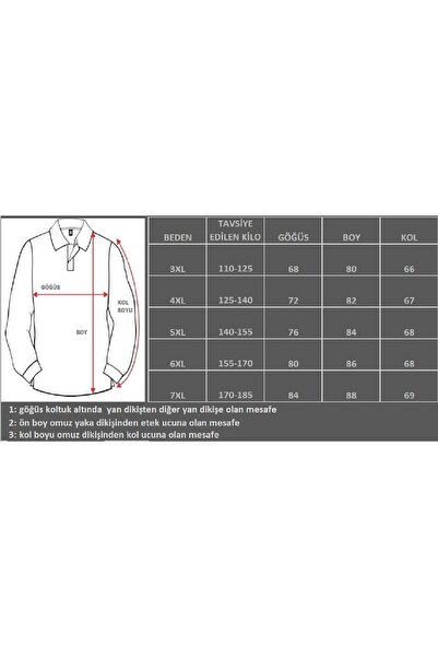 Grand Lavita Büyük Beden Kışlık Polo Yaka Sweatshirt