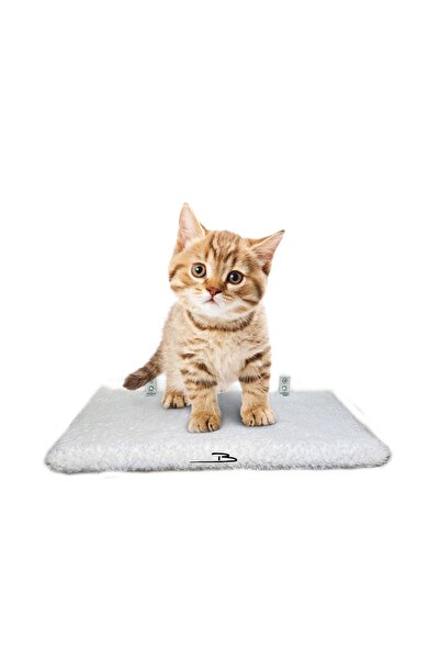 Barış Dizayn Peluş Kedi Basamağı Peluş Raf Duvar Kedi Yolu Parkur 3lü Set 2 R...