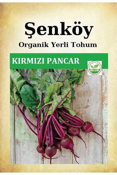 Şenköy Yerli Koyu Kırmızı Pancar Tohumu Doğal Ata Tohum Pakette 5 Gr 400 Tohu...