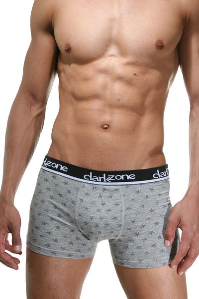 darkzone Ανδρικό γκρι μελανζ Classic Grey Boxer DZN2300