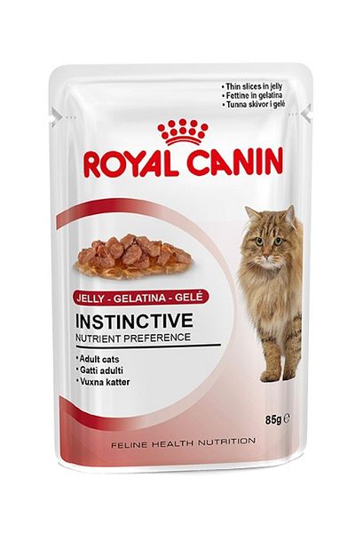 Royal Canin Food for Cats Age over 12 Years, 85 Grams – (12 Units X 85 g)