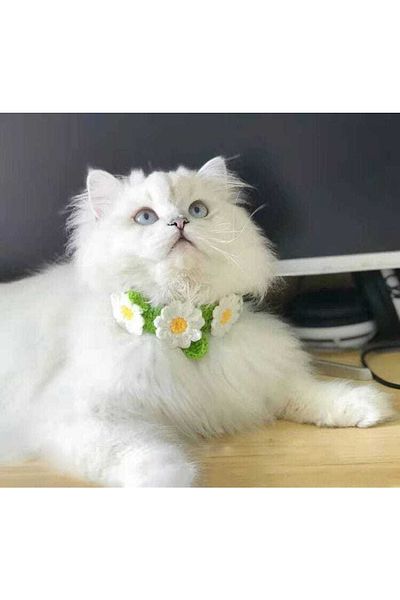 BurDen Dekoratif Ürünler & Tasarım Daisy Cat Necklace / Collar & Accessory, Phenomenon Cat, Handmade Knitted