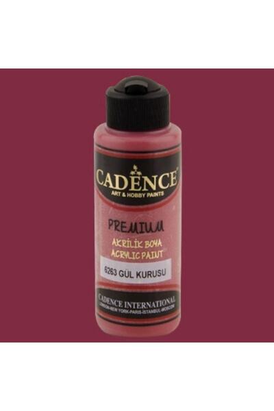Cadence Premium Akrilik Boya 120ml Gül Kurusu 6263