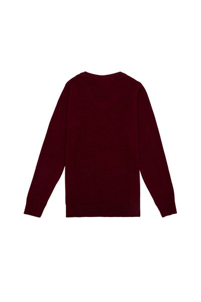 U.S. Polo Assn. Red Boy's Sweater