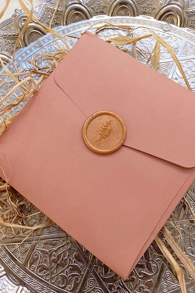 Dekorden Salmon Colored Sealed Invitation Envelope
