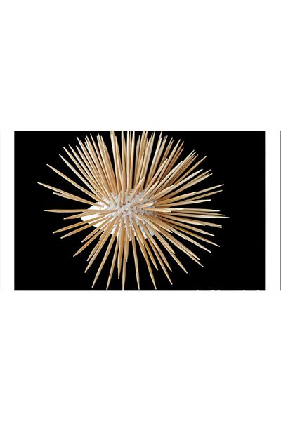 ABB Hedgehog Shaped Decorative Toothpick Holder – 3D Printing Pla Toothpick Holder
