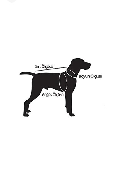 ATLANTİK Köpek Göğüs Bel Tasma Ve Sevk Kayışı Seti