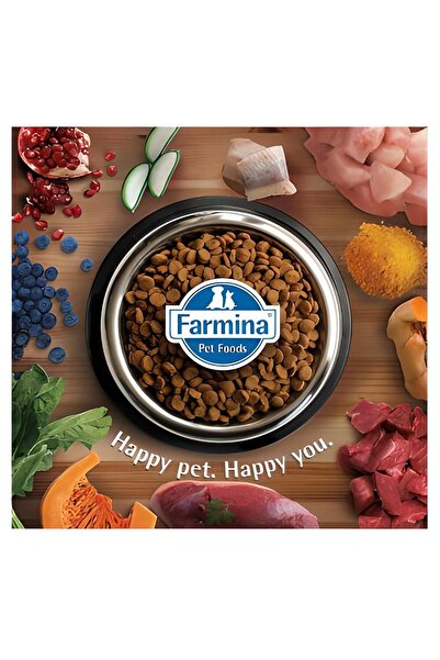 N&D Kuzulu Yaban Mersinli Tahılsız Küçük Irk Köpek Maması 2,5kg