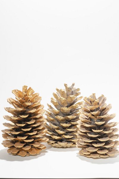 Elfora Christmas Pine Cone Gold Large Size 3 Pieces