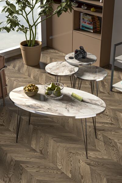 GOLDFALEZ Zigon Sehpa Ve Orta Sehpa Elips Set Siyah Tel Ayak Gümüş Efes