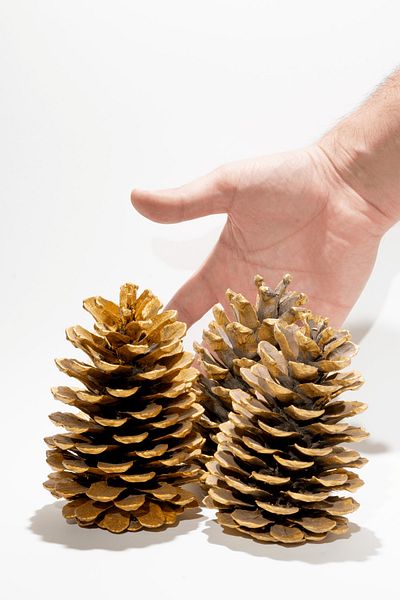 Elfora Christmas Pine Cone Gold Large Size 3 Pieces