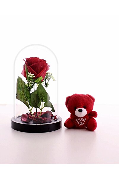 Deco Elit Fanusta Led Işıklı Kırmızı Gül Ve Kırmızı Mini Ayıcık Set Sevgiliye...