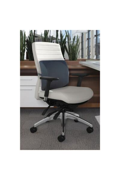 Ankaflex Ortopedik Bel Destek Minderi Araba Ofis Sandalye Için Bel Ağrısı Önl...