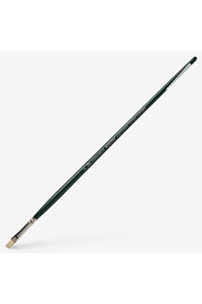 Winsor Newton Winsor & Newton : Winton : Uzun Sap Kedi Dili Fırça No : 2