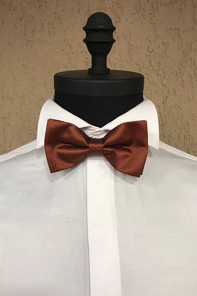 Quesste Accessory ربطة عنق رجالية - لون قرميدي دوبي