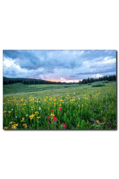 La Vita e Bella Ilkbahar Manzaralı Kanvas Tablo Mn-1012