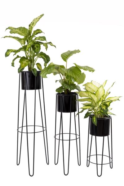 MyMoon Siyah Dekoratif Ayaklı Saksılık Seti Model 13 Lü