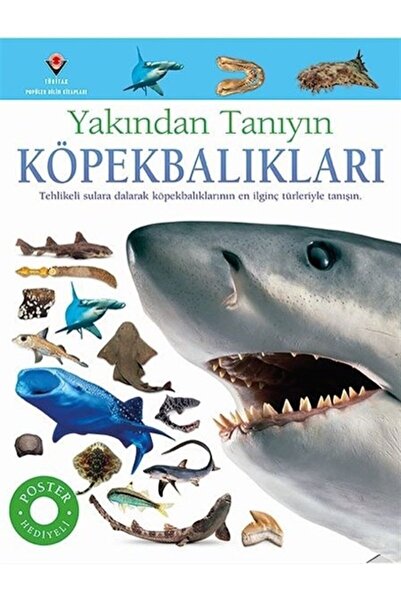 Tübitak Yayınları Köpekbalıkları - Yakından Tanıyın Miranda Mcquitty Tübitak ...