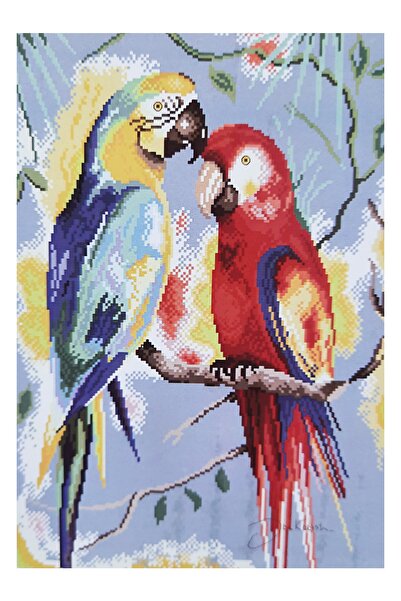 ElkaHobi Goblen Etamin Işleme Seti 40x50 Cm Papağan Deseni
