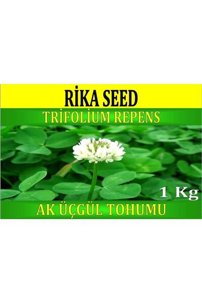 Rika Ak Üçgül Tohumu, 1 Kg, Bodur Yonca Tohumu, Süs Yoncası, Trifolium Repens