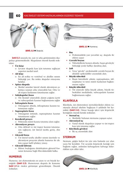 Dünya Tıp Kitabevi Kas Iskelet Sistemi Hastalıklarında Egzersiz Tedavisi
