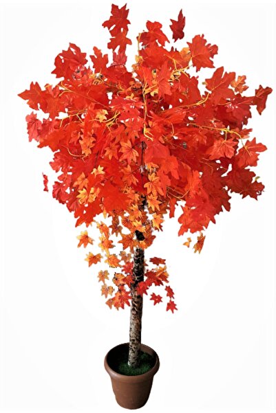 Bambu Yapay Hazan Ağacı 1.80 Mt Boy Kızıl Ateşi Kırmızı Sonbahar Ağacı Sarkıt Ve Geniş Yaprak