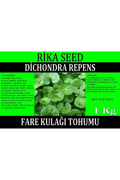Rika Fare Kulağı Tohumu, 1 Kg, Dichondra Repens, Fare Kulağı