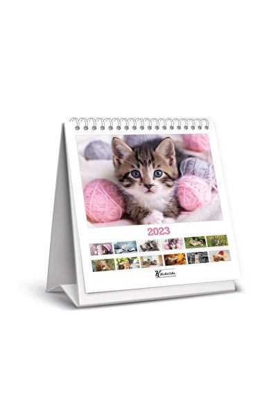 KESKİN COLOR 2023 Yılı (16x15) Cm Kare Masa Takvimi Kediler