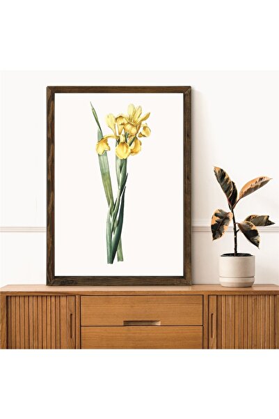 TURER Masif Çerçeveli Çiçek Resmi Baskılı Tablo