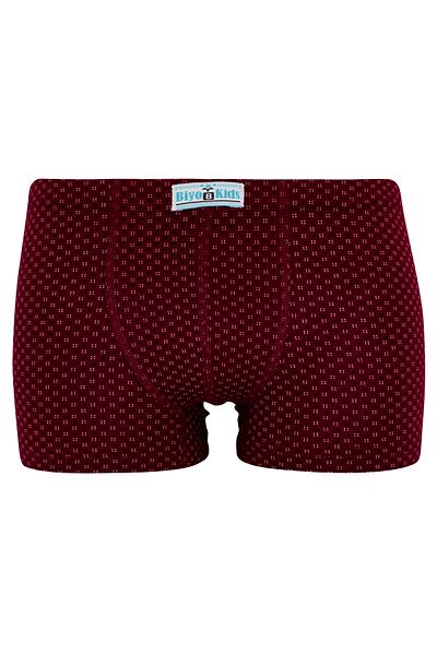 biyokids Boy's Boxer Pack of 5 Mixed Color Printed Boxers