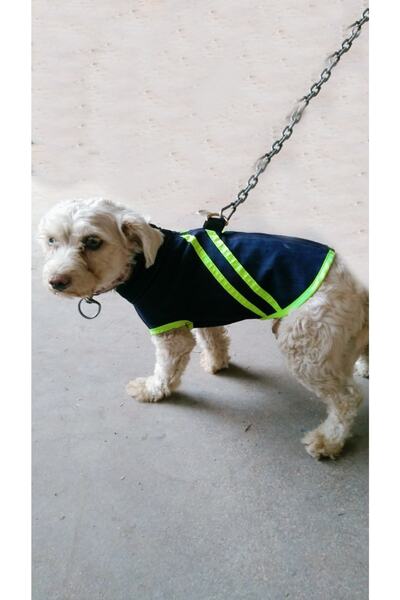 ZooTech Zt Jeans Köpek Kıyafeti Medium