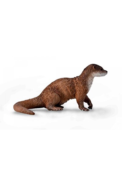 Collecta Common Other