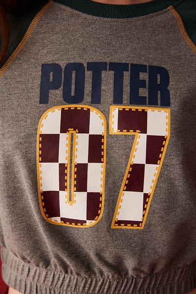 Penti Gray Melange Sleevless Sweatshirt-Harry Potter Collection
