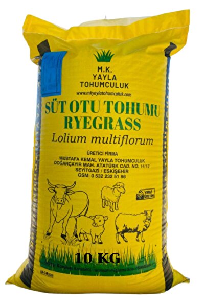 M.K. YAYLA TOHUMCULUK Süt Otu Tohumu (ryegrass) - Rye Grass - Italyan Çimi - Reygrass - Tetraploid - 10 Kg